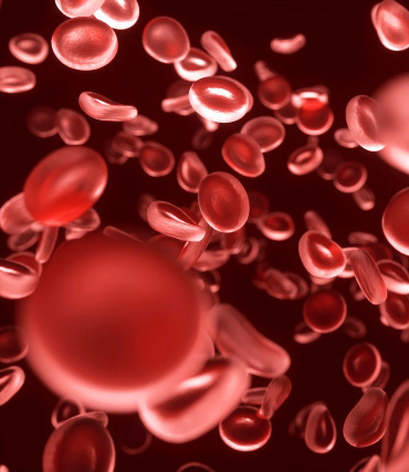 赤血球のヘモグロビン。涙は血液から作られていた。