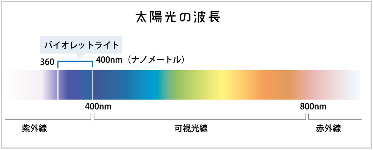 バイオレットライトとは、太陽光の波長。