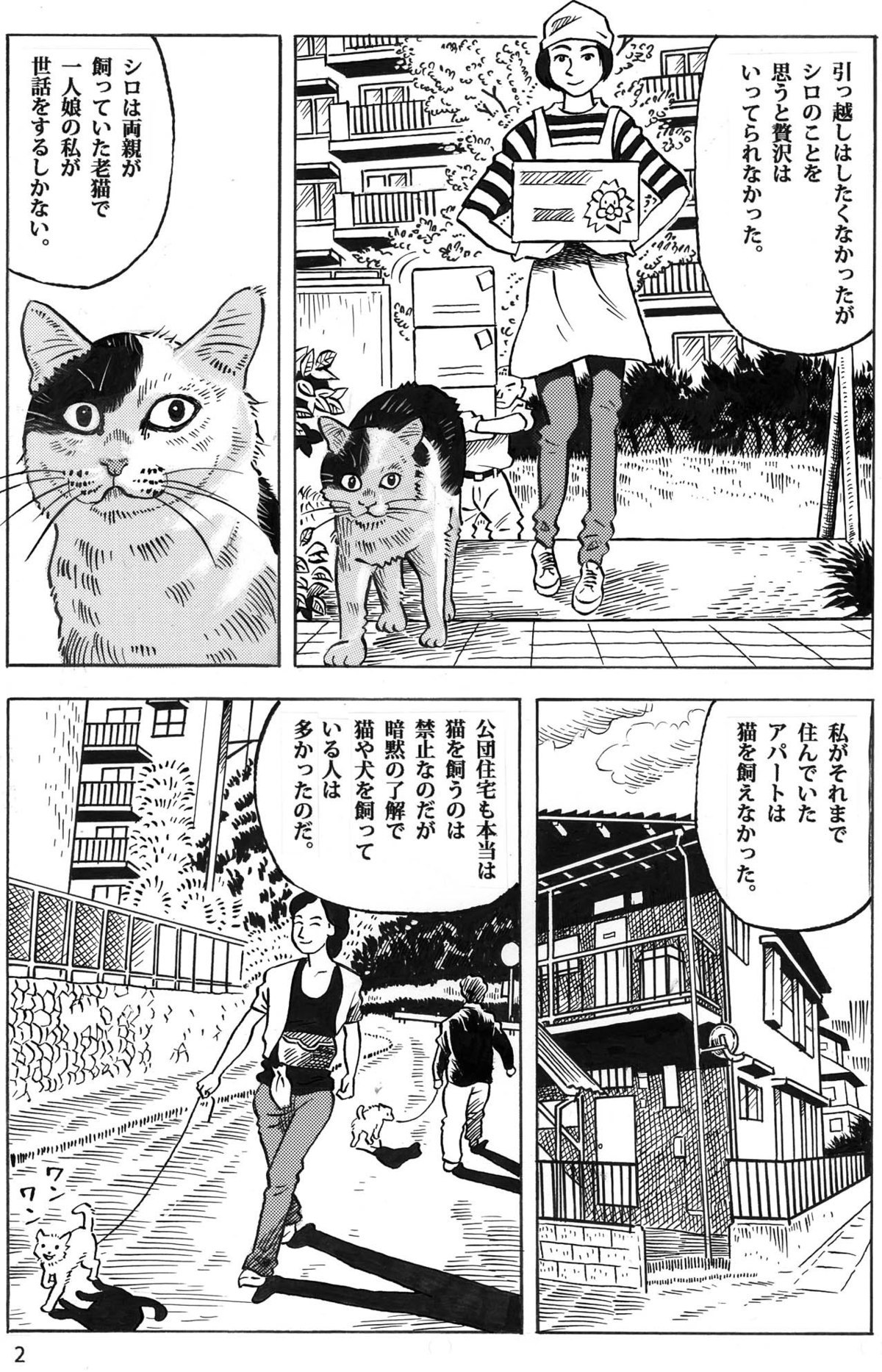 無料漫画_猫漫画_海丸ミチ。